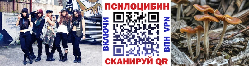 кракен онион  Челябинск  Псилоцибиновые грибы ЛСД 
