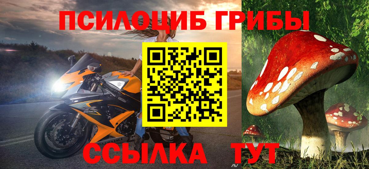 Галлюциногенные грибы MAGIC MUSHROOMS  Псилоцибиновые грибы GOLDEN TEACHER  Челябинск 